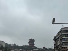 -黄鹤楼公园(黄鹤楼)