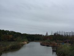 -上海长兴岛郊野公园