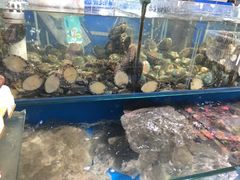 -四道口水产市场