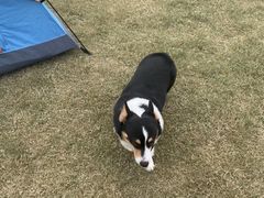 -春花秋色城市公园