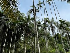 -中国科学院西双版纳热带植物园