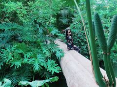 -南通洲际绿博园