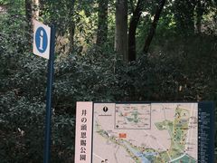 -井之头恩赐公园