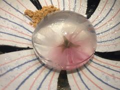 -桐寿司Sushi Tong