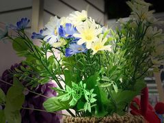 -利群海琴购物广场(商丘路店)