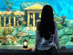 -合肥海洋世界
