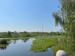 -同里国家湿地公园