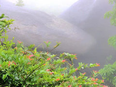 -玉苍山国家森林公园