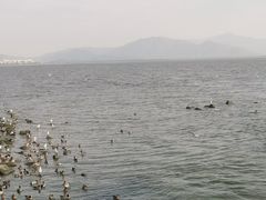 -深圳湾公园(南山区)