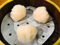 南拳虾饺皇-南拳十三姨·潮汕砂锅粥(世纪金源店)