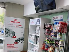 -申普宠物医院·心脏介入·心血管微创(总院)