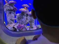 -海合安武汉极地海洋公园