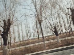 -紫轩葡萄酒庄园