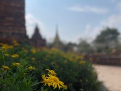 -一寨两国风景区