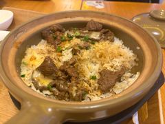 -美食小镇·观赏珍稀鸟类·长隆熊猫酒店