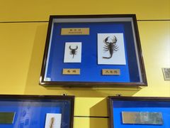 -上海昆虫博物馆