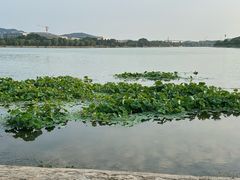 -羊山湖公园