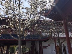 -堤角公园
