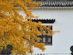 -归元·云集斋素菜馆