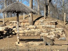 -北京野生动物园