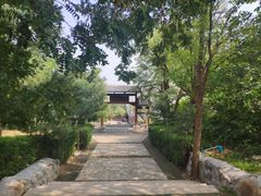 -阳台山自然风景区