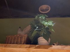 -俭朴菜(鲁磨路店)