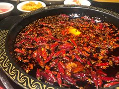 -一斗火锅·招财羊毛肚(泰吉滨江店)
