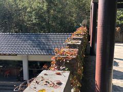 -夏霖九天银瀑风景区