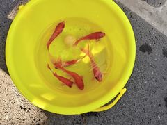 -融汇温泉