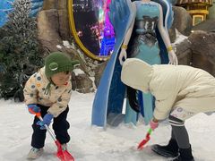 -世界之窗阿尔卑斯冰雪世界