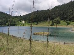 -武陵山森林公园