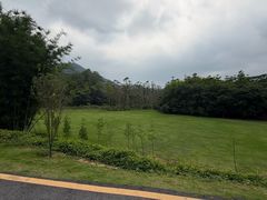 -黄埔油麻山森林公园