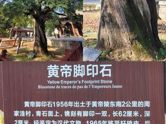 -黄帝陵