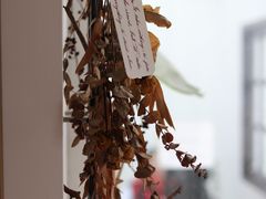 大堂-素咫咖啡CLIFEROSE