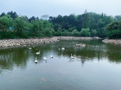 -鄱阳湖国家湿地公园