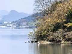 -东钱湖小普陀景区