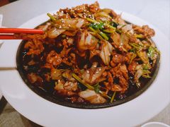 -秀儿四九城·新京菜(亚运村鸟巢店)