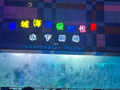 -泉城欧乐堡海洋极地世界