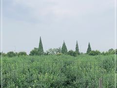 -金谷域澳洲庄园