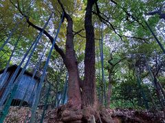 -虞山风景区