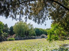 -莲池书院博物馆