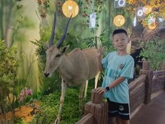 -西霞口神雕山野生动物世界