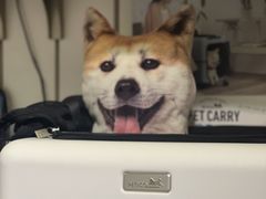 -崇光百货(铜锣湾店)