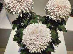 -鲜丰水果