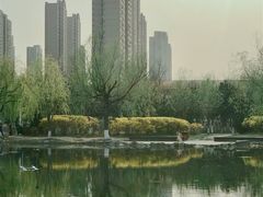 -前关湿地公园