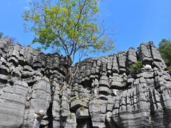-梭布垭石林景区