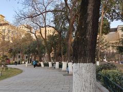 -莲湖公园