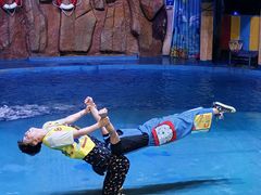 -烟台海昌鲸鲨海洋公园