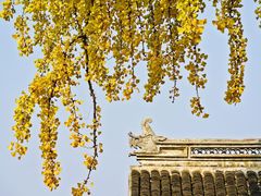 -惠山古镇·寄畅园