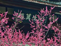 -成都杜甫草堂博物馆